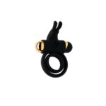 Share Satisfaction CASTOR Vibrating Cock Ring