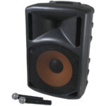Probeats 15" PA System with 2 Wireless Microphones