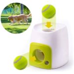 Tennis Ball Machine Fetch and Treat Toy