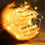 LED Light Copper Wire Seed 500cm White