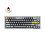 Keychron 65% Layout 68 Key Grey Brown Switch RGB Hot-Swap Wired Keyboard